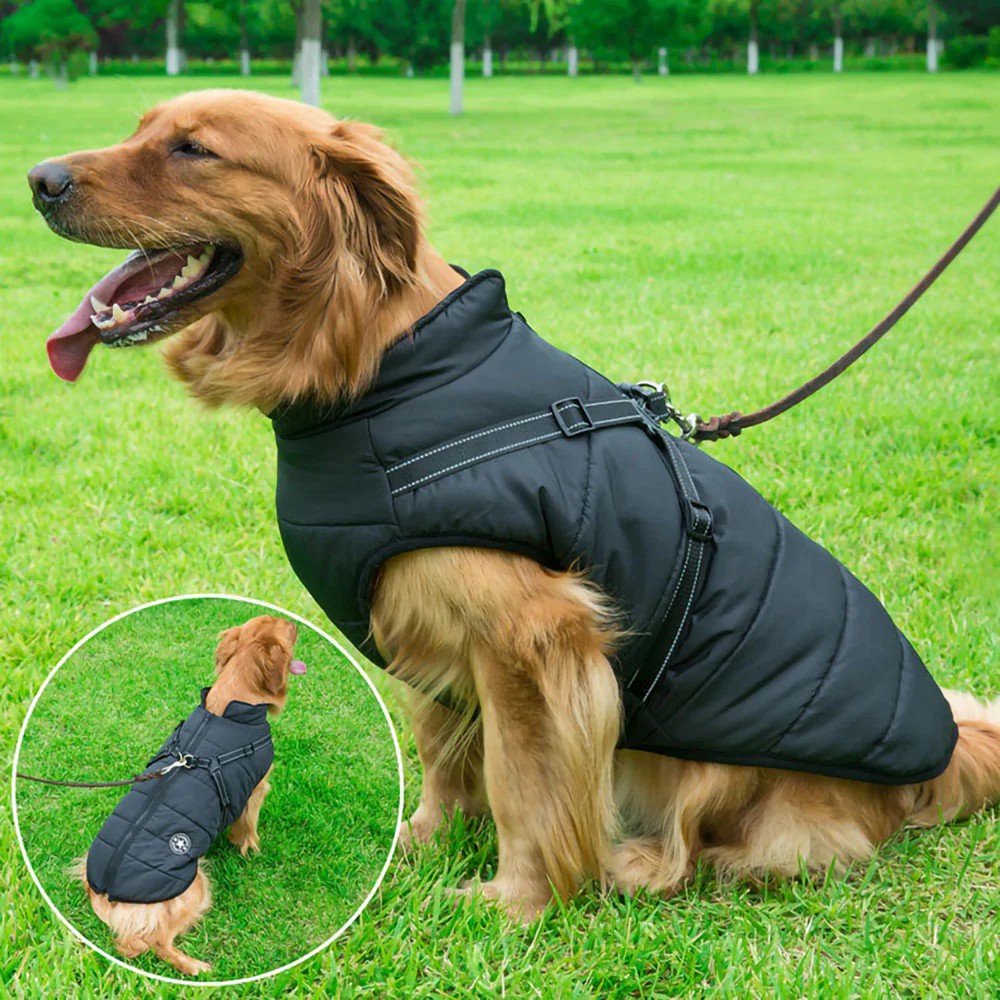 Waterproof Dog Coat